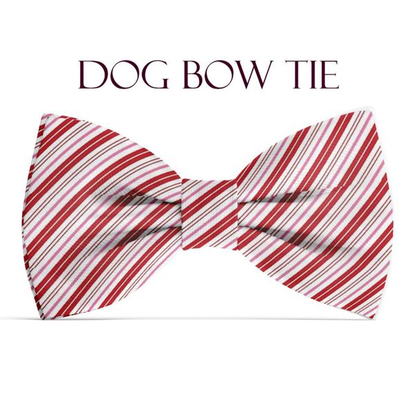 Dog Bow Tie - Candy Cane Stripes