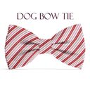  Dog Bow Tie - Candy Cane Stripes