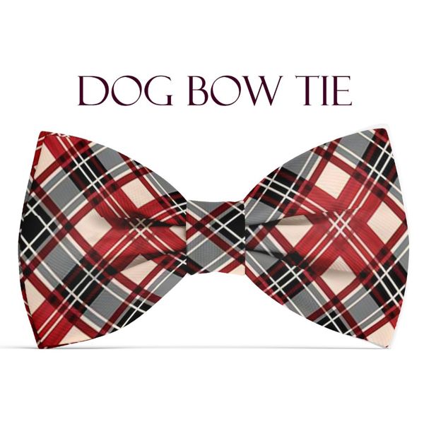 Dog Bow Tie - Winter Plaid