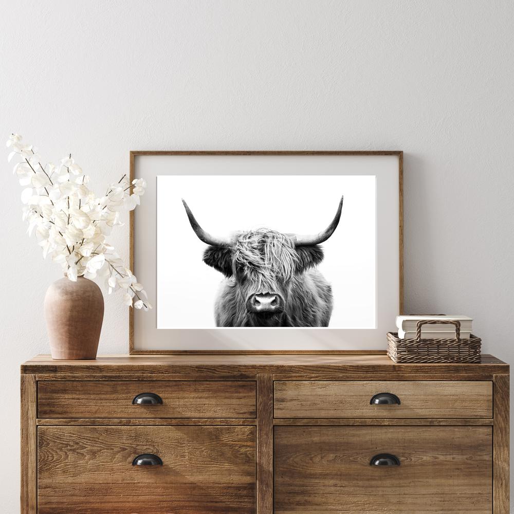 HIGHLAND COW PRINT, PRINT ONLY!!!!!!!