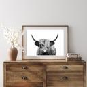  HIGHLAND COW PRINT, PRINT ONLY!!!!!!!