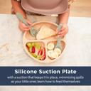  Silicone Suction Plate