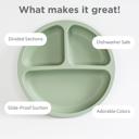  Silicone Suction Plate