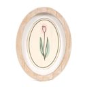 Oval Tulip Spring & Easter Wood Framed Signs