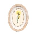 Oval Daffodil Spring & Easter Wood Framed Signs