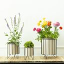  Iron Flower Pot Set with Stands