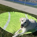 Tennis ball The Ball Blanket