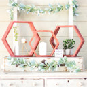 Rustic Red Rustic Farmhouse Floating Reclaimed Wood Hexagon Shelves (Set of 3)