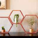 Rustic Red Rustic Farmhouse Floating Reclaimed Wood Hexagon Shelves (Set of 3)