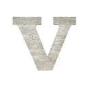 White Wash V Rustic Farmhouse Large 16in Decorative Monogram Wood Letter