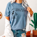 XXL Blue Jean Today I'm A Serious Goose Comfort Colors Tee, Silly Goose Tee, Funny Sarcastic Shirt 