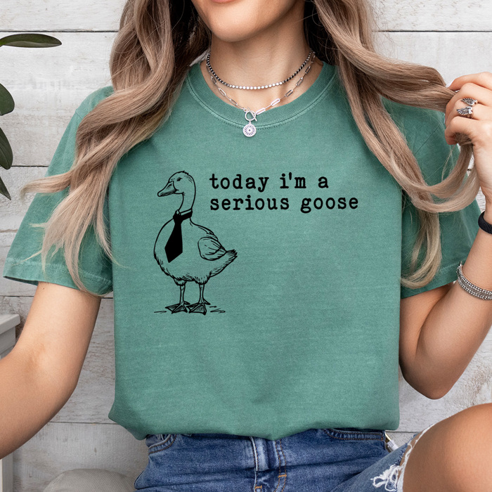 Today I'm A Serious Goose Comfort Colors Tee, Silly Goose Tee, Funny Sarcastic Shirt 