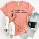 XXL Sunset Today I'm A Serious Goose Graphic Tee, Silly Goose Tee, Funny Sarcastic Shirt 