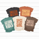  Fall Season Vibes Comfort Colors Tees, Pumpkin Season Printed Tee, Sweater Weather, Autumn Vibes, Spice Girl, Coffee Weather 