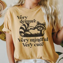  Very Demure Raccoon Funny Graphic Tee