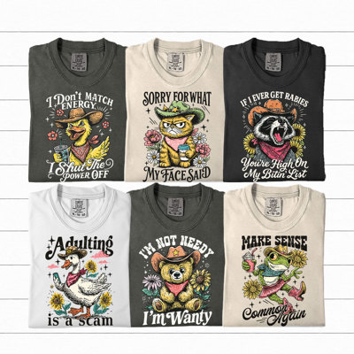 Funny Snarky Humor Graphic Tee, Sarcastic Graphic Tee, Adult Unisex Tee, Comfort Color Shirt