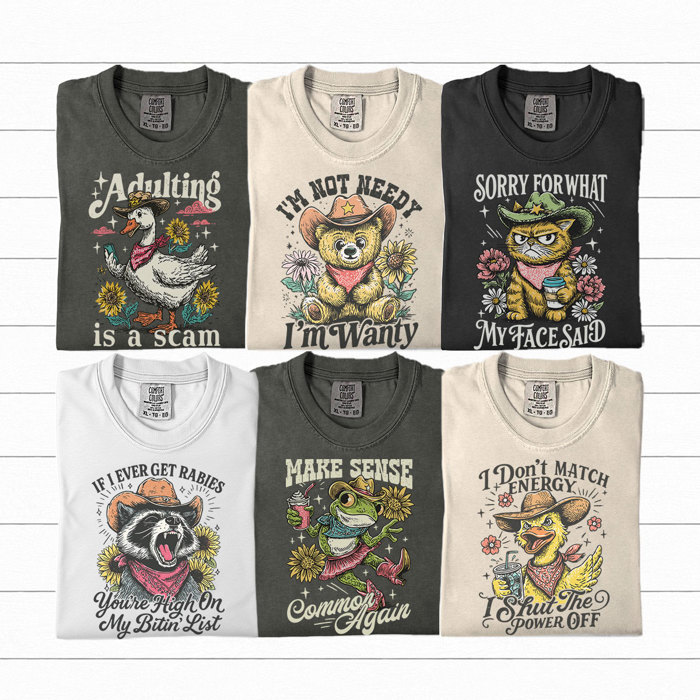 Funny Snarky Humor Graphic Tee, Sarcastic Graphic Tee, Adult Unisex Tee, Comfort Color Shirt