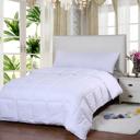 Queen White Bibb Home Goose Down Alternative Comforter