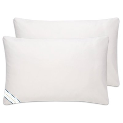 BeautySleep 2-4 Pack Down Alternative Pillow Set