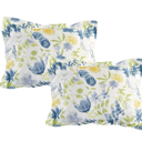 King Green Blue Floral Bibb Home 8 Piece Comforter Set with Decorative Pillows