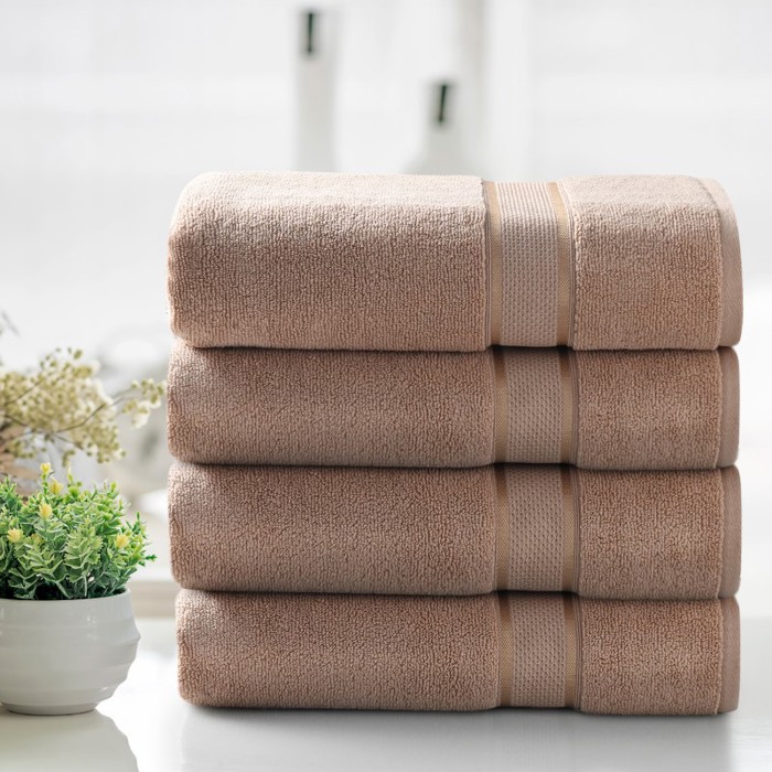 Kathy Ireland 2-4 Piece Zero Twist Cotton Plush Bath Sheet Set