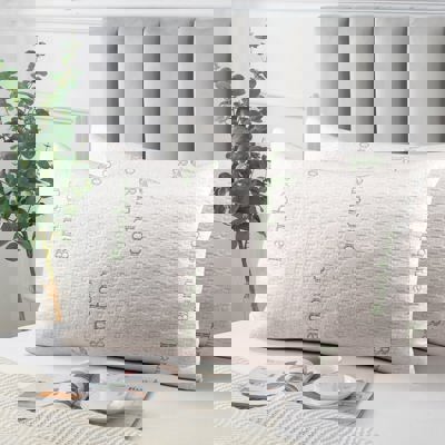 Dan River Bamboo 2 Pack Down Alternative Pillow Set
