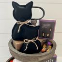 Black Cat Fall & Halloween Fabric Tray Fillers | Set of 2