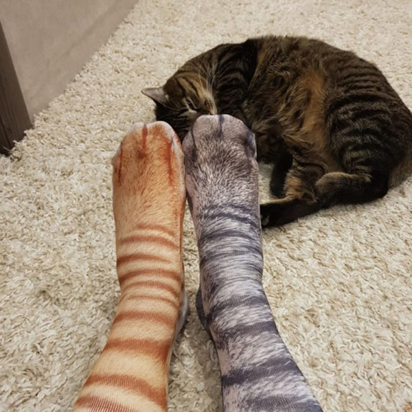 Purfect Kitty Cat Feet Socks