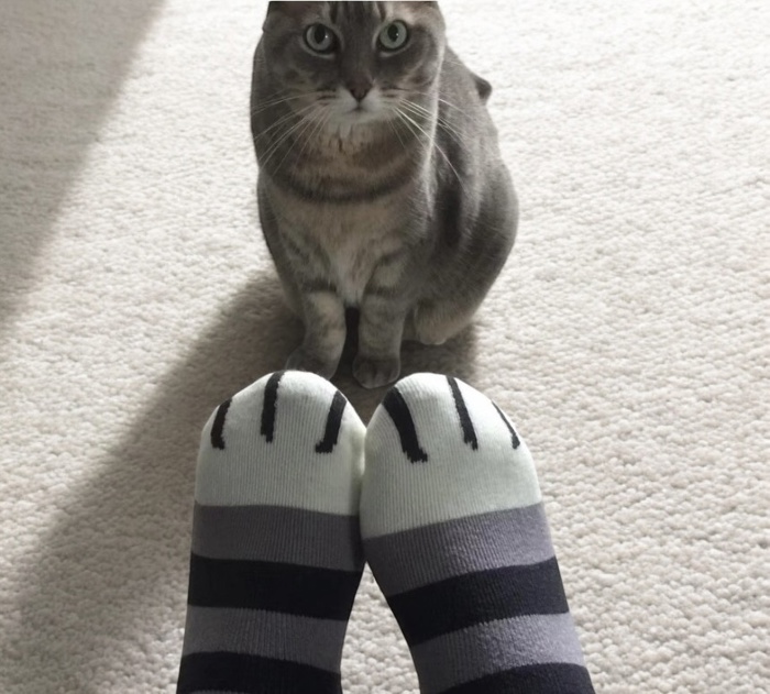 Stripe Cat Feet Socks 