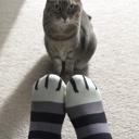  Stripe Cat Feet Socks 