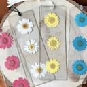  Pressed Daisy Flower Bookmark