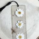  Pressed Daisy Flower Bookmark