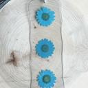  Pressed Daisy Flower Bookmark