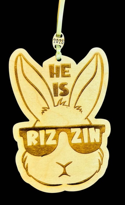 Slang Easter Tag 4 Teens | Bunny tags with Slang Humor | Skibidi Hop | He is Rizzin | Perfect for teens | 2 Designs choose from-Easter Gift tags - ready to gift - Easter fun