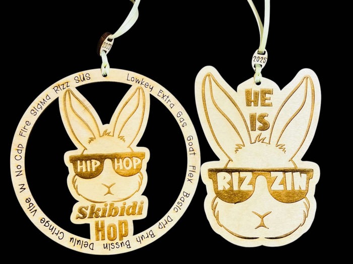 Slang Easter Tag 4 Teens | Bunny tags with Slang Humor | Skibidi Hop | He is Rizzin | Perfect for teens | 2 Designs choose from-Easter Gift tags - ready to gift - Easter fun