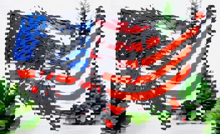 United States of America - 4th of July Decor - Choose from 3 design options - Perfect way to show your support for America