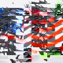  United States of America - 4th of July Decor - Choose from 3 design options - Perfect way to show your support for America