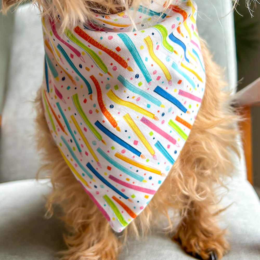 Birthday Candles Dog Bandana | birthday party | puppy birthday bandana | dog party | Dog birthday | Pet birthday