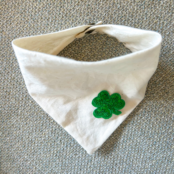 St. Paddy’s Bandanas for Your Dog 🍀  ✨ Luck Just Got Sparkly! 