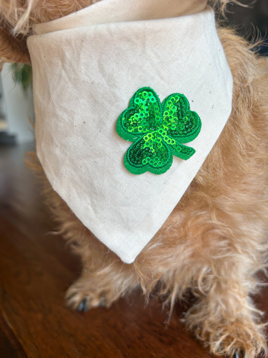 St. Paddy’s Bandanas for Your Dog 🍀  ✨ Luck Just Got Sparkly! 