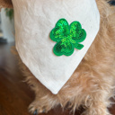 XL St. Paddy’s Bandanas for Your Dog 🍀  ✨ Luck Just Got Sparkly! 