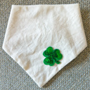 XL St. Paddy’s Bandanas for Your Dog 🍀  ✨ Luck Just Got Sparkly! 