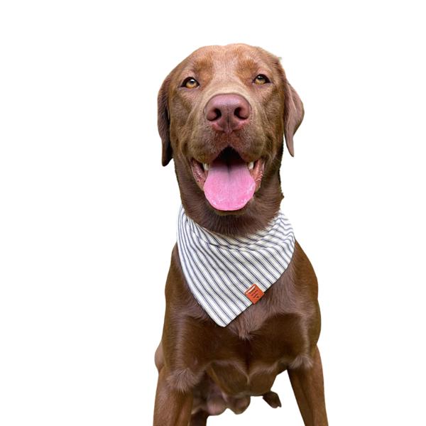 Premium Dog Bandana | Gifts for Dogs | Handmade 100% Cotton | Dog accessories