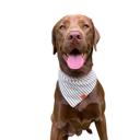  Premium Dog Bandana | Gifts for Dogs | Handmade 100% Cotton | Dog accessories