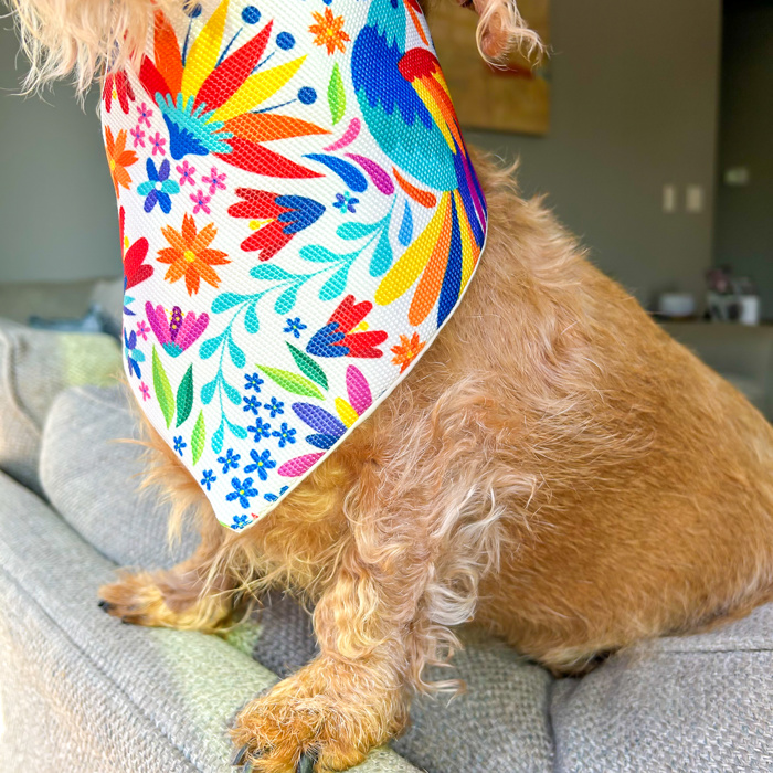 Vibrant Floral Dog Bandana 