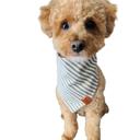  Premium Dog Bandana | Gifts for Dogs | Handmade 100% Cotton | Dog accessories