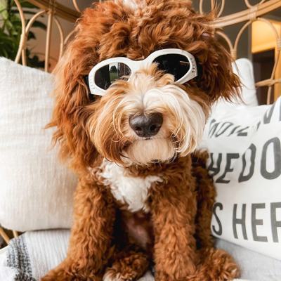 Foldable Pet Glasses - Dog Goggles  - Fashion Sunglasses Summer Sunscreen