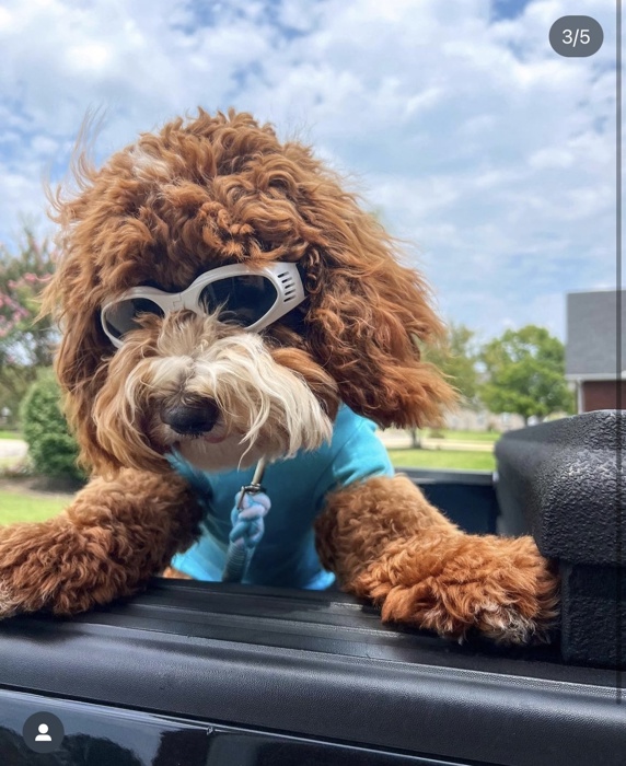 Foldable Pet Glasses - Dog Goggles  - Fashion Sunglasses Summer Sunscreen