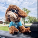  Foldable Pet Glasses - Dog Goggles  - Fashion Sunglasses Summer Sunscreen