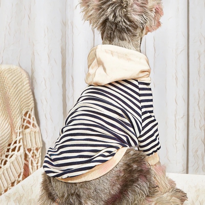 Super Cute Blue Striped Sweater for Small Pups! Dogs and Cats | Gifts